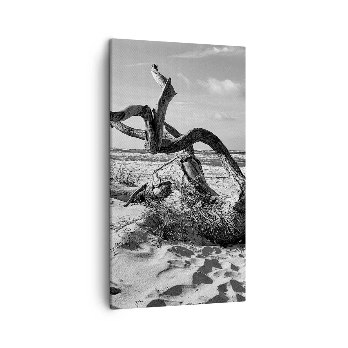 Tablou pe pânză - Sculptură marină - 45x80 cm