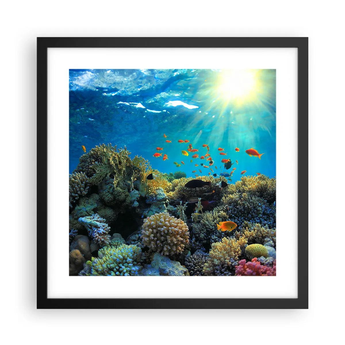 Poster în ramă neagră - Comori subacvatice - 40x40 cm