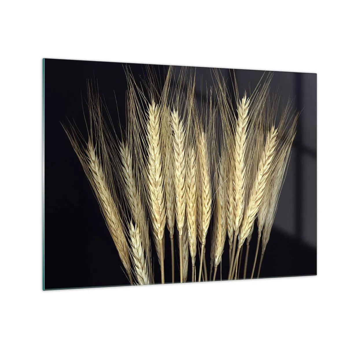 Tablou pe sticlă - Cereale în tonuri calde pe fundal negru - 70x50cm - Magie rustică - Decorațiune modernă pentru perete pentru living și dormitor ARTTOR
