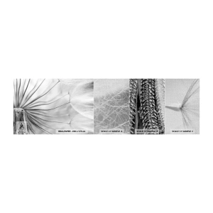 Mostră tapet Premium Canvas - Suflarea zmeilor - Minimalism, Delicat, Floare - 100x30 cm