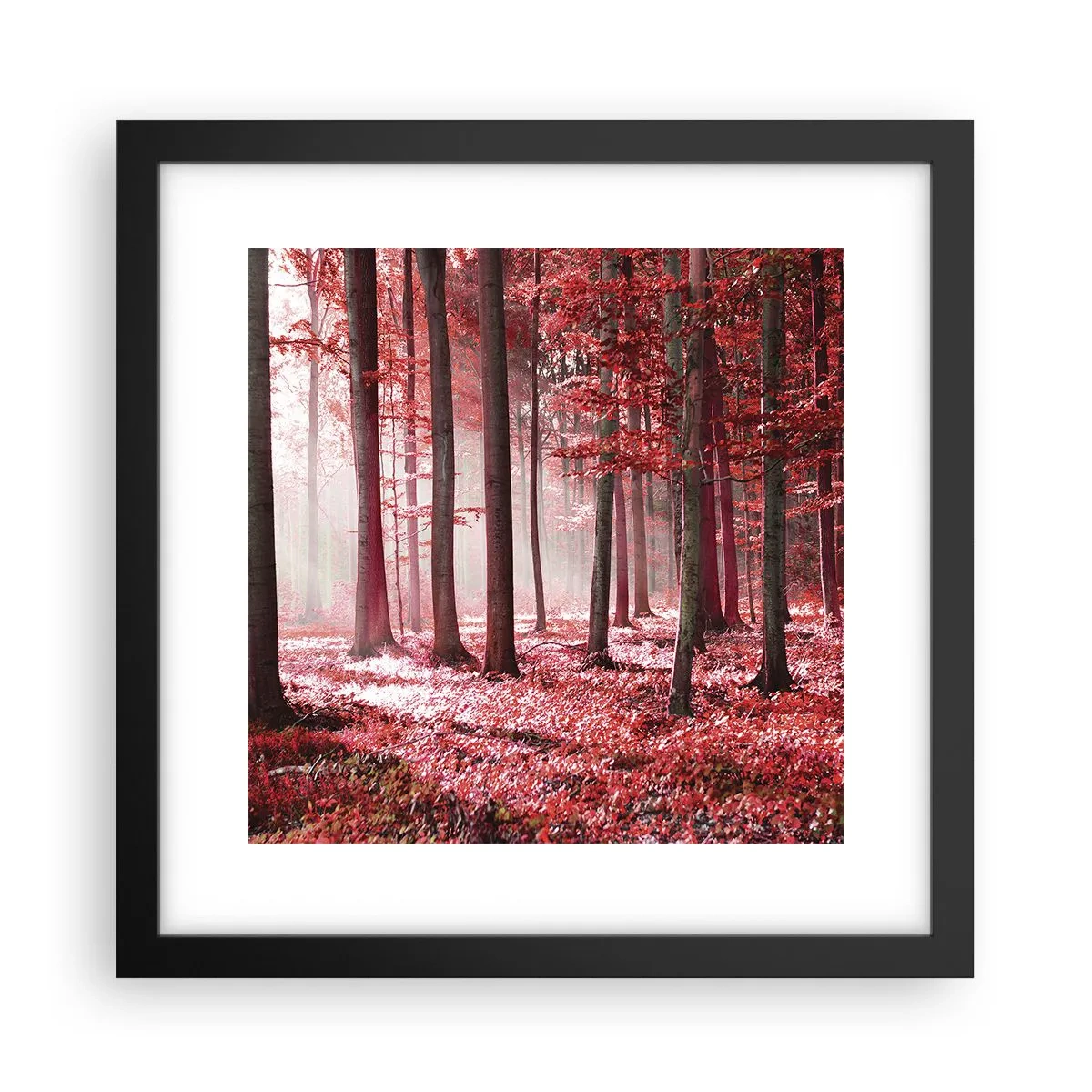 Poster în ramă neagră - Roșie este la fel de frumoasă - 30x30 cm
