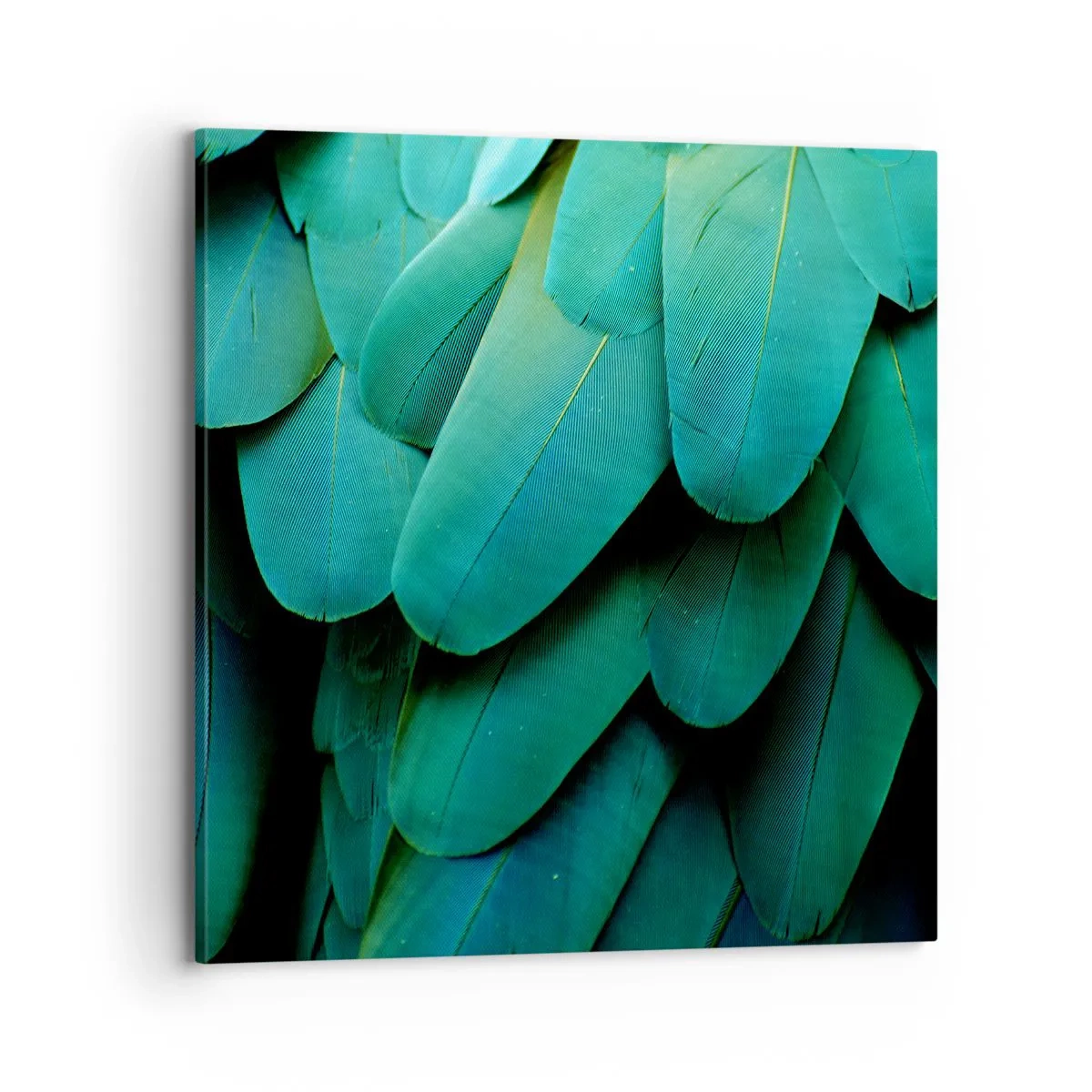 Tablou pe pânză - Precizia naturii papagalicești - 70x70 cm