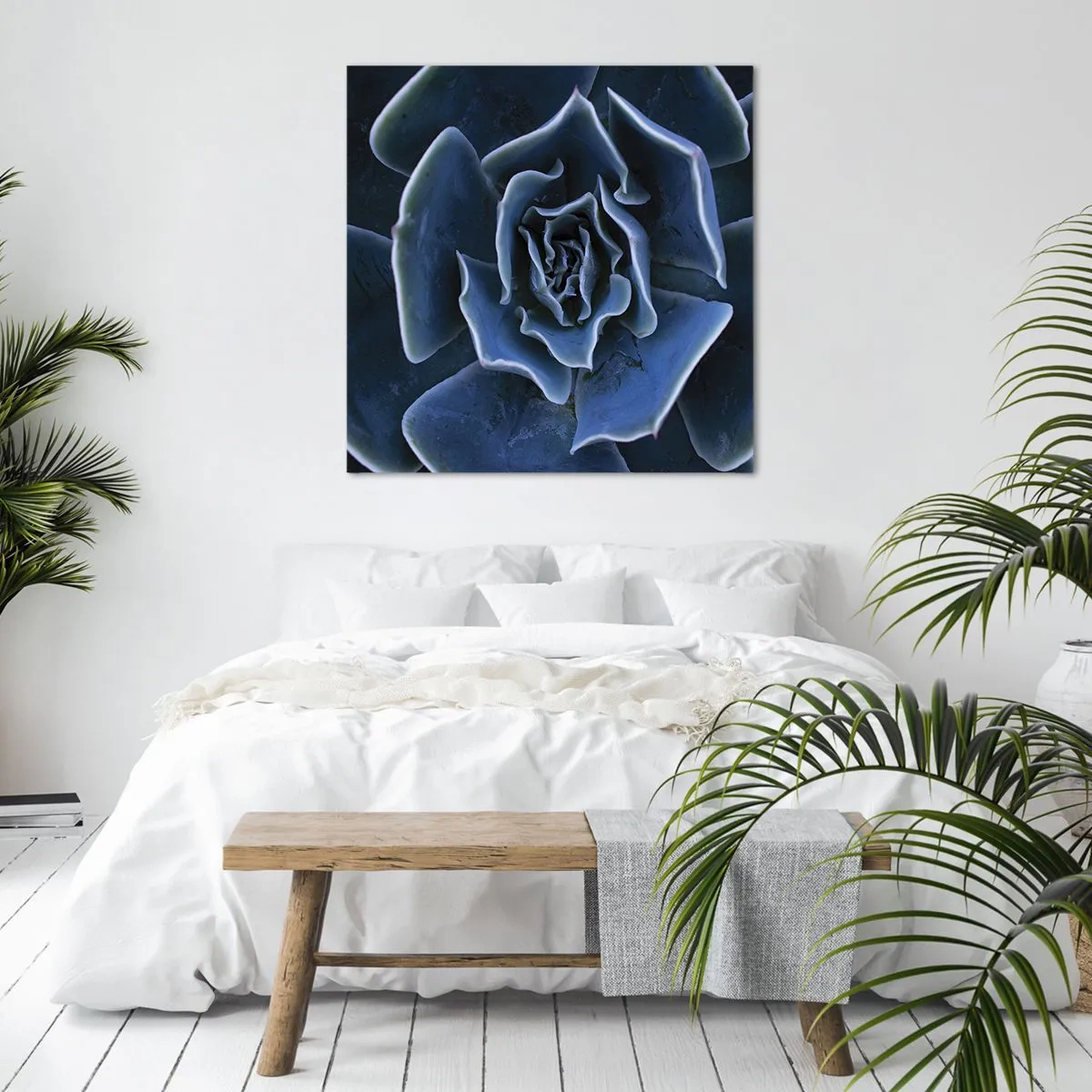 Tablou pe pânză - Floare de deșert - 70x70 cm