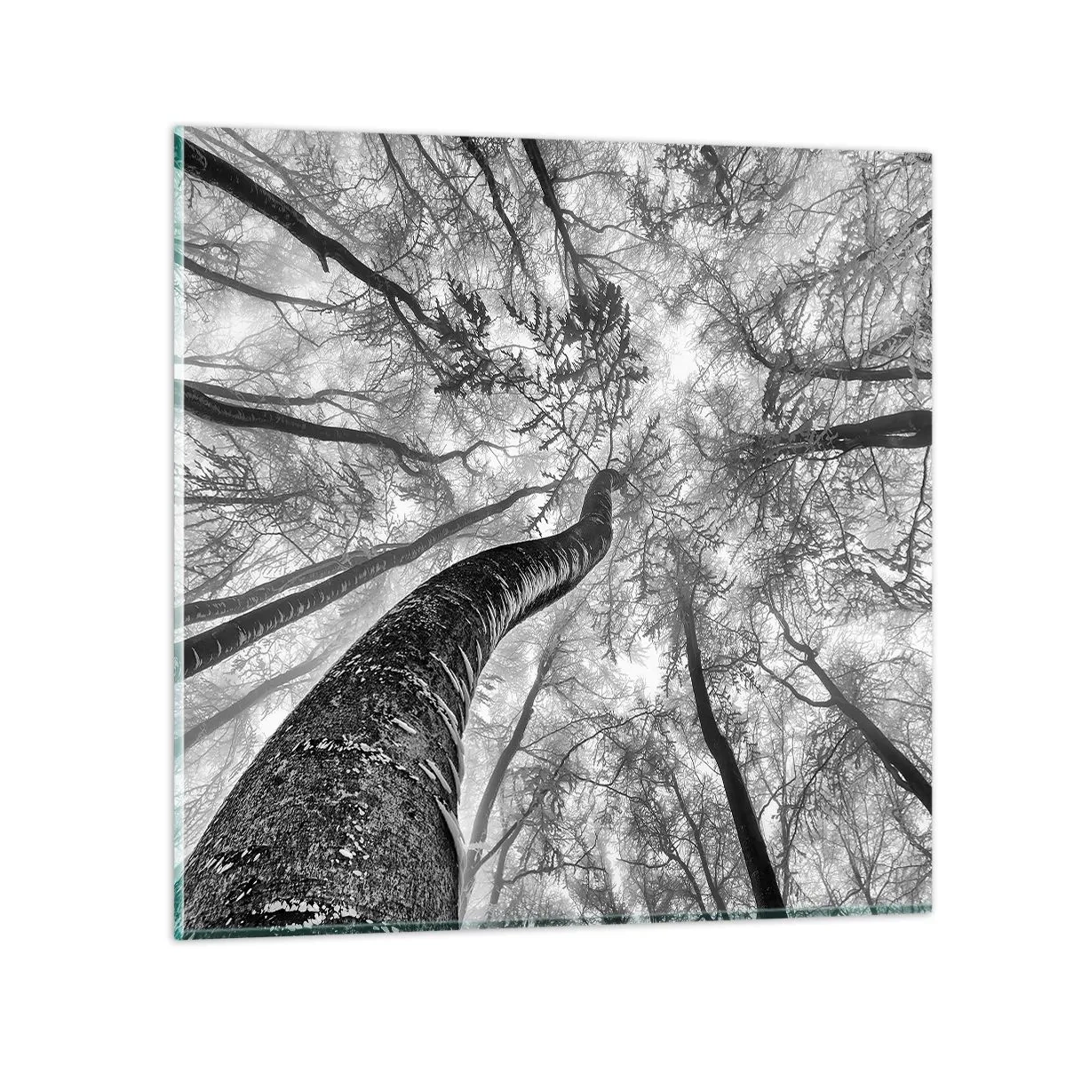 Tablou pe sticlă - Cursa spre lumină - 30x30 cm