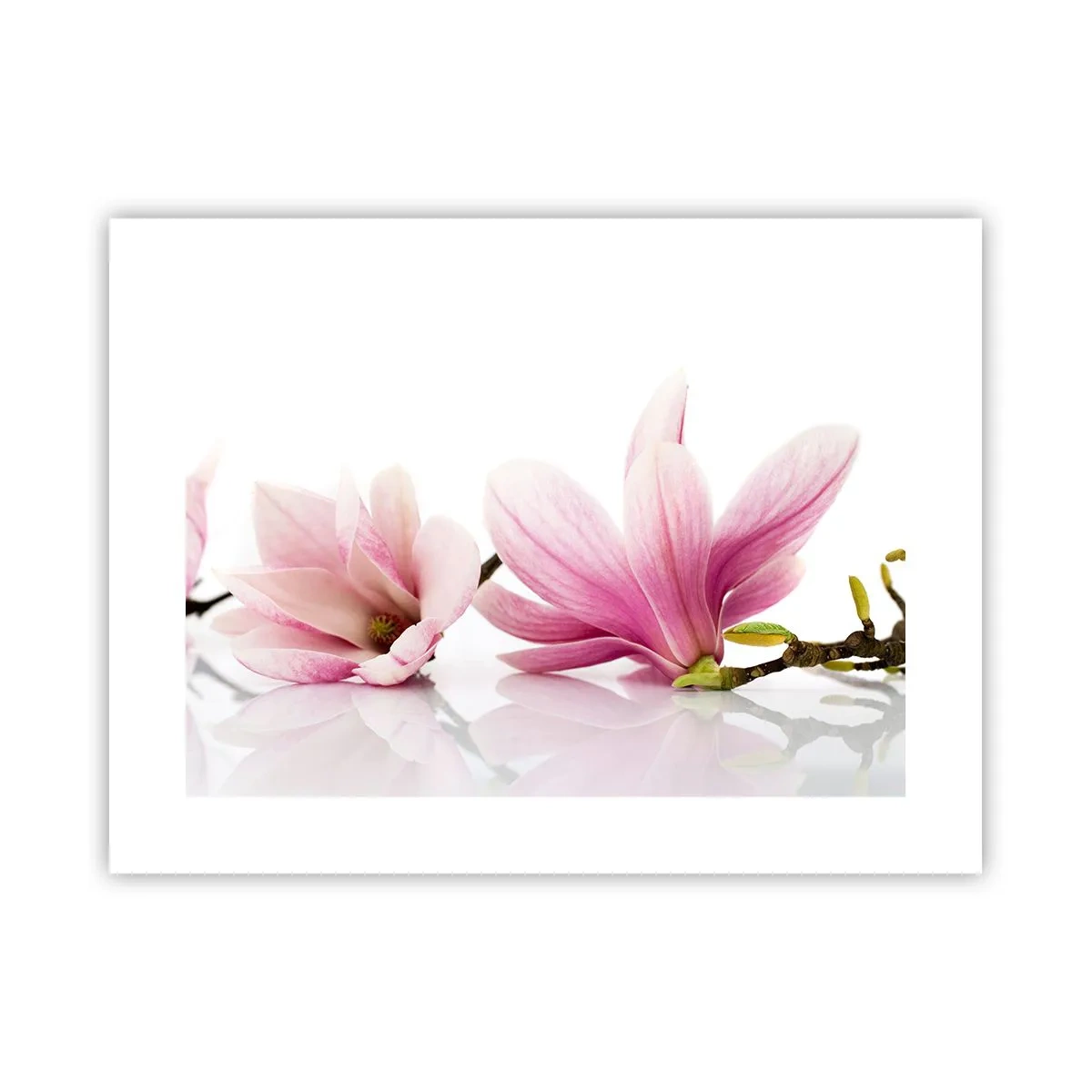 Poster - Delicate ca o adiere de primăvară - 40x30 cm