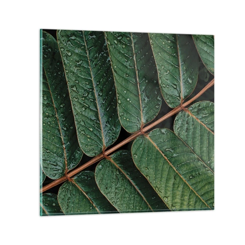 Tablou pe sticlă - Într-un ritm verde - 70x70 cm