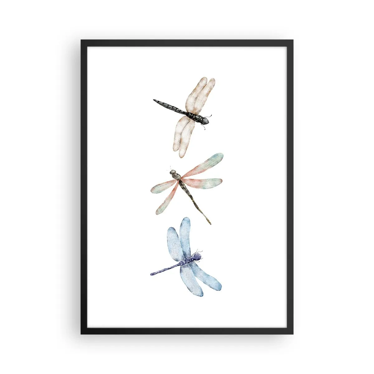 Poster în ramă neagră - Trei libelule pictate în acuarelă - 50x70cm - Libelule imponderabile - Decorațiune modernă pentru perete pentru living și dormitor ARTTOR