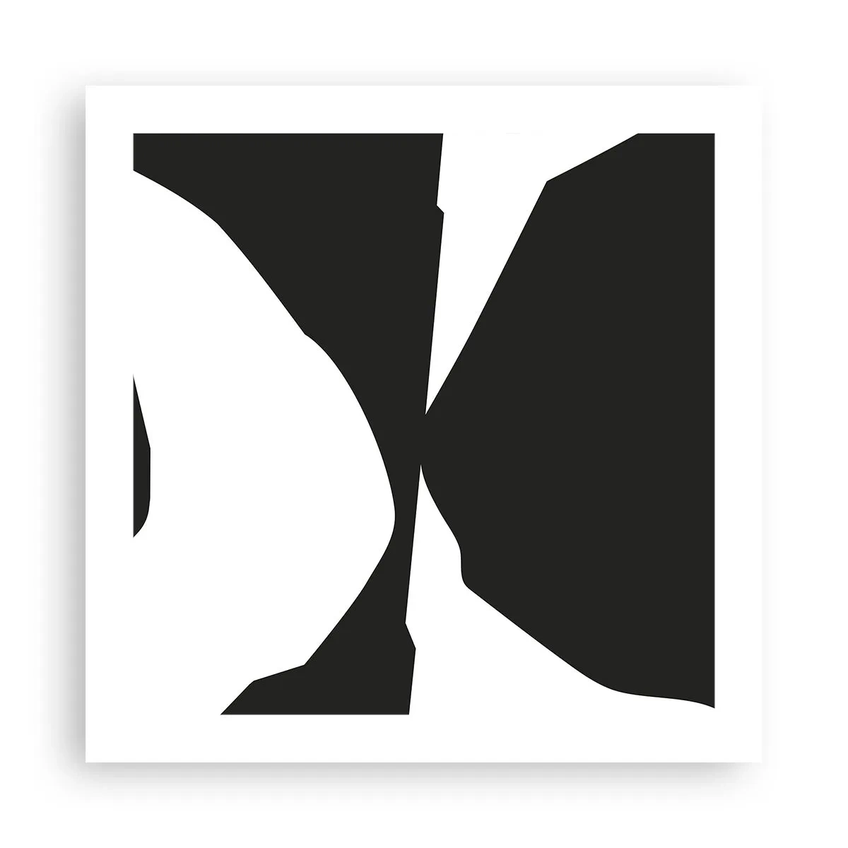 Poster - Pozitiv -negativ - 50x50 cm