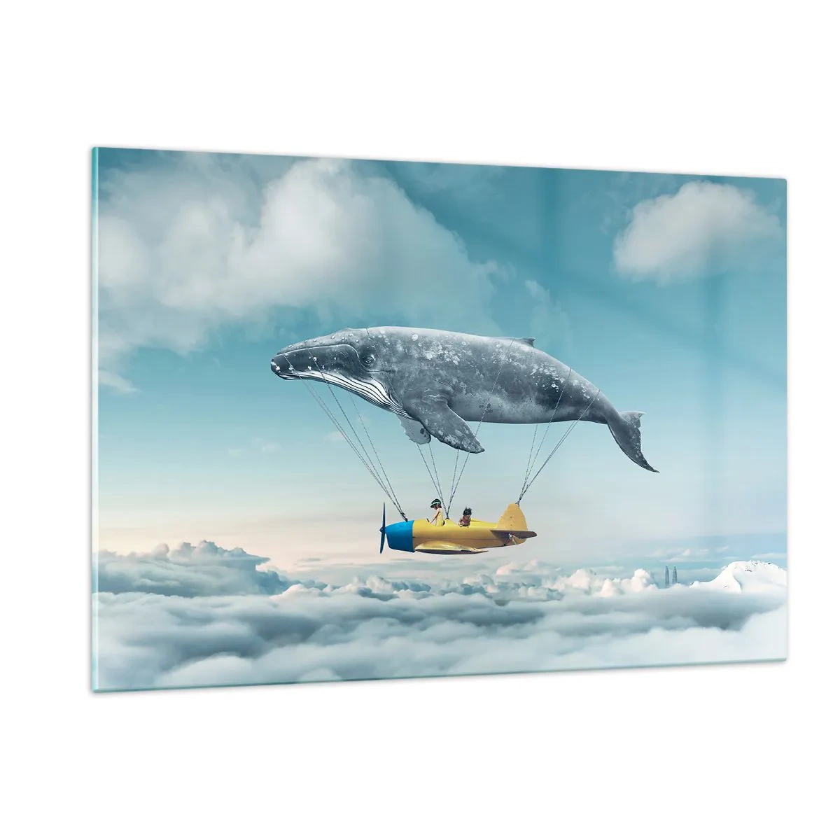 Tablou pe sticlă - De ce nu? - 120x80 cm