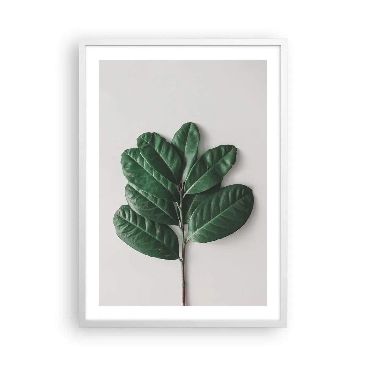 Poster în ramă albă - Desenul naturii însăși - 50x70 cm