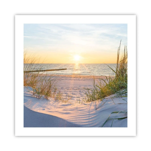 Poster - Zumzet de mare, o plajă sălbatică printre ierburi... - 50x50 cm