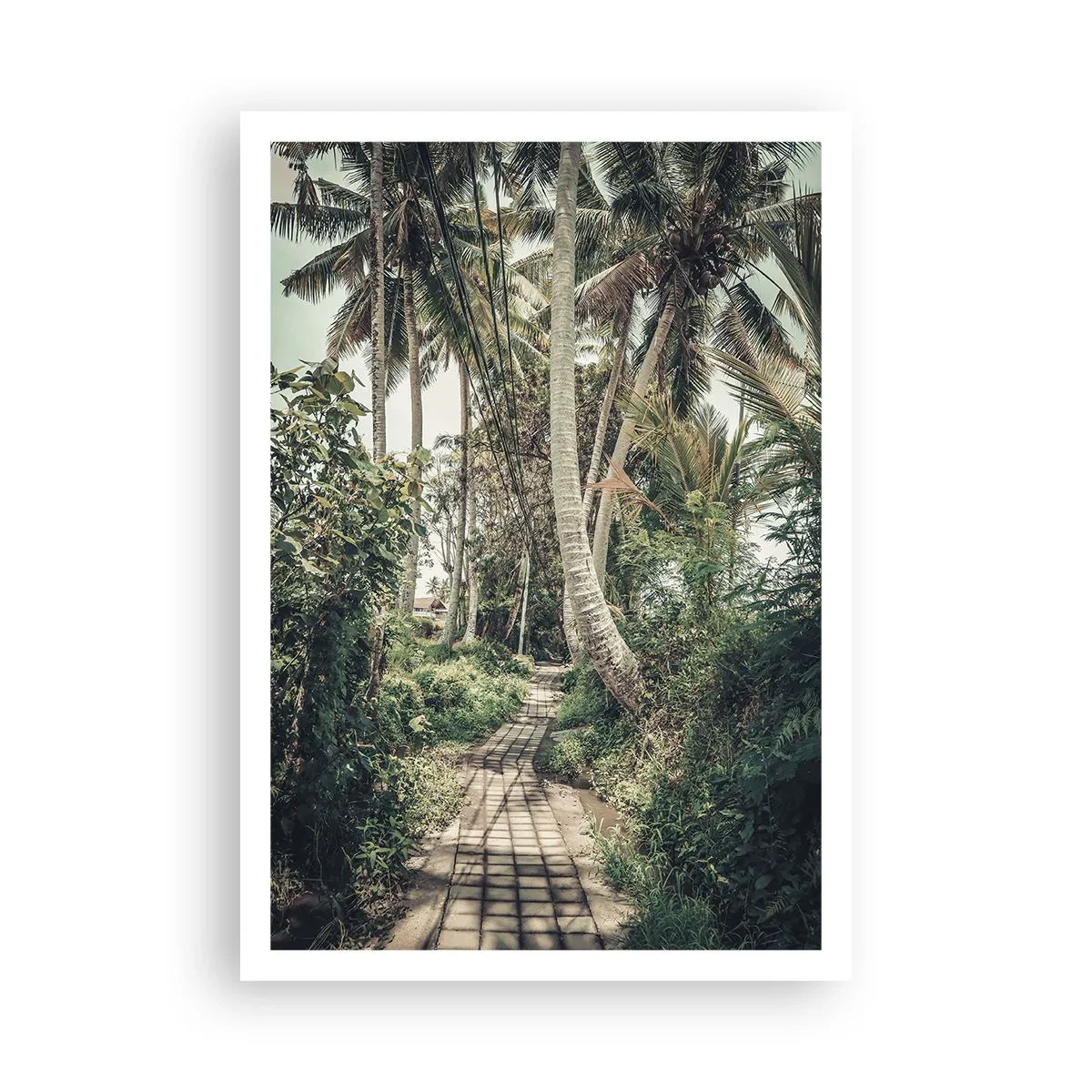 Poster - Bulevardul cu palmieri - 70x100 cm