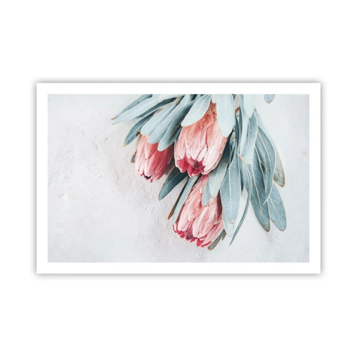 Poster - Rușinate de propria lor frumusețe - 91x61 cm