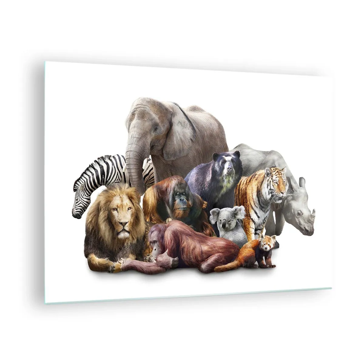 Tablou pe sticlă - Un grup de animale sălbatice pe un fundal alb într-o fotografie artistică - 70x50cm - Fotografia africană de familie - Decorațiune modernă pentru perete pentru living și dormitor ARTTOR