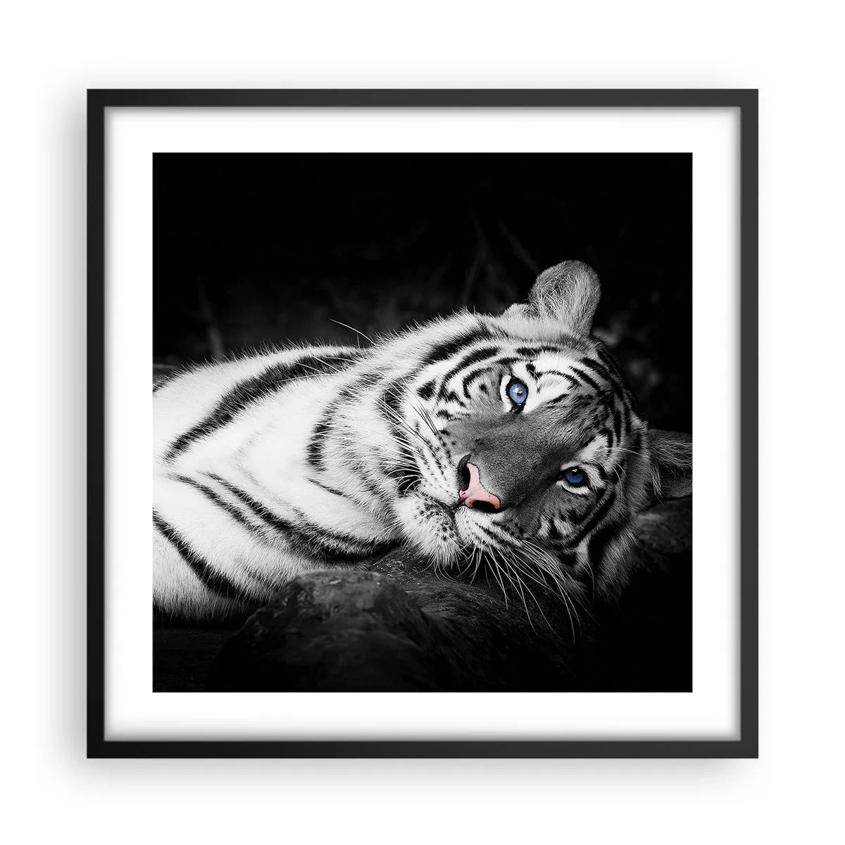 Poster în ramă neagră - Sălbăticie și pace - 50x50 cm