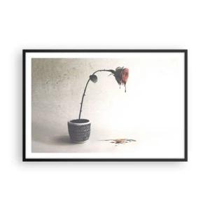 Poster în ramă neagră - Rosa dolorosa - 91x61 cm