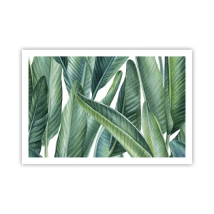 Poster - Verdeața în sine - 91x61 cm