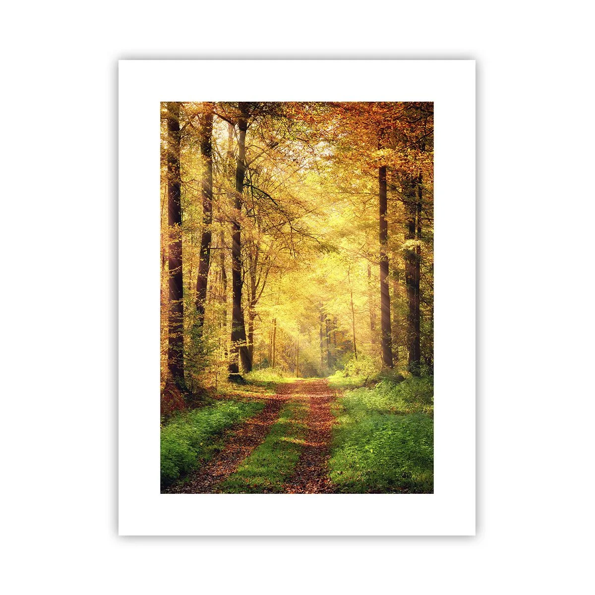 Poster - Tăcere de aur de pădure - 30x40 cm
