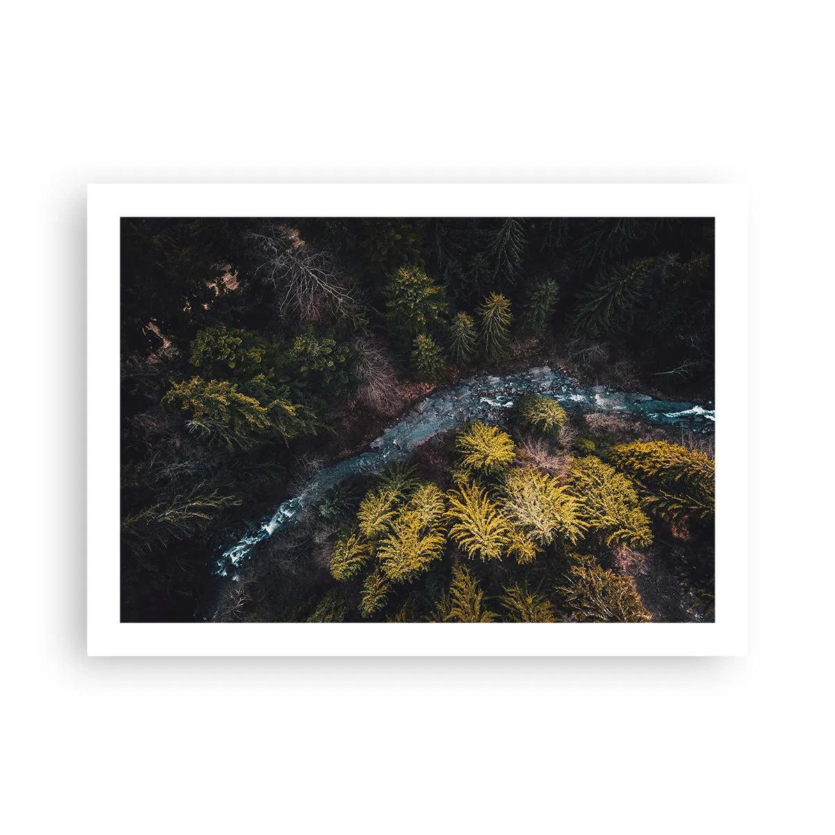 Poster - Rapid și mai rapid - 70x50 cm