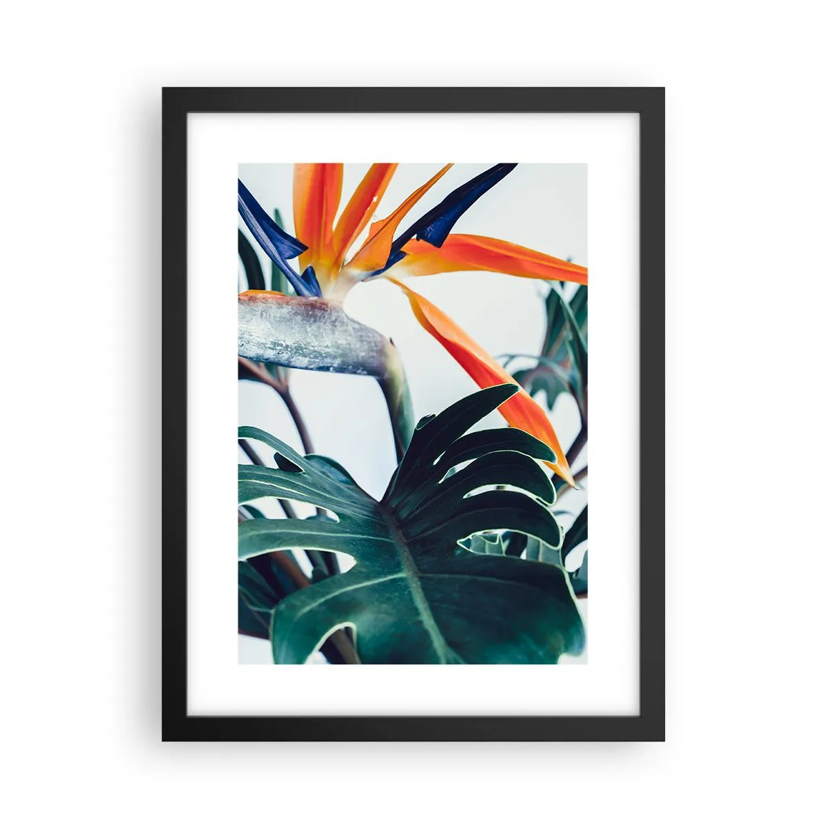 Poster în ramă neagră - Tufiș sau pasăre? - 30x40 cm