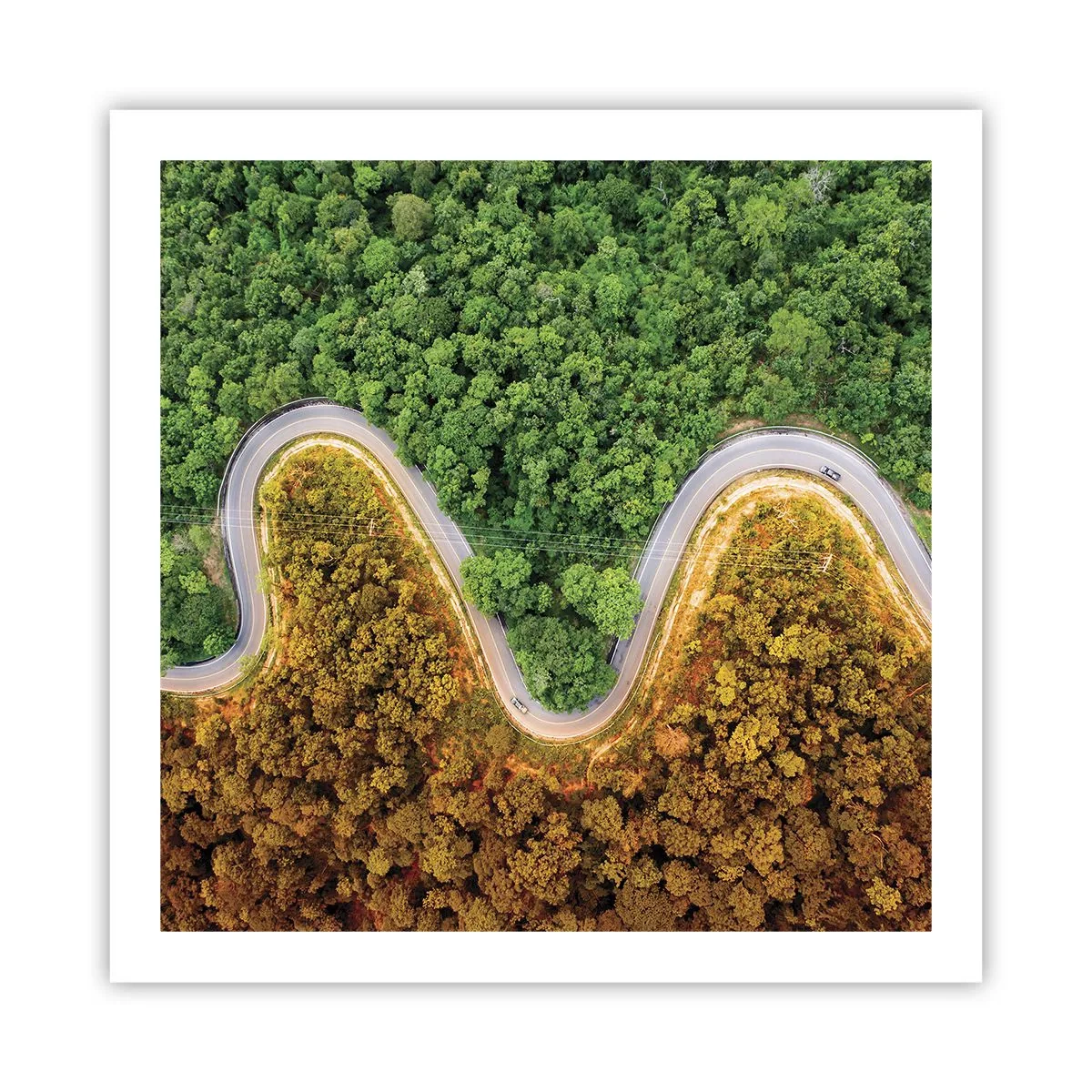 Poster - Frontiere și defilee - 60x60 cm