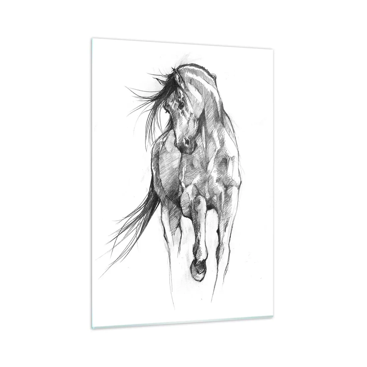 Tablou pe sticlă - Într-un trap grațios - 50x70 cm