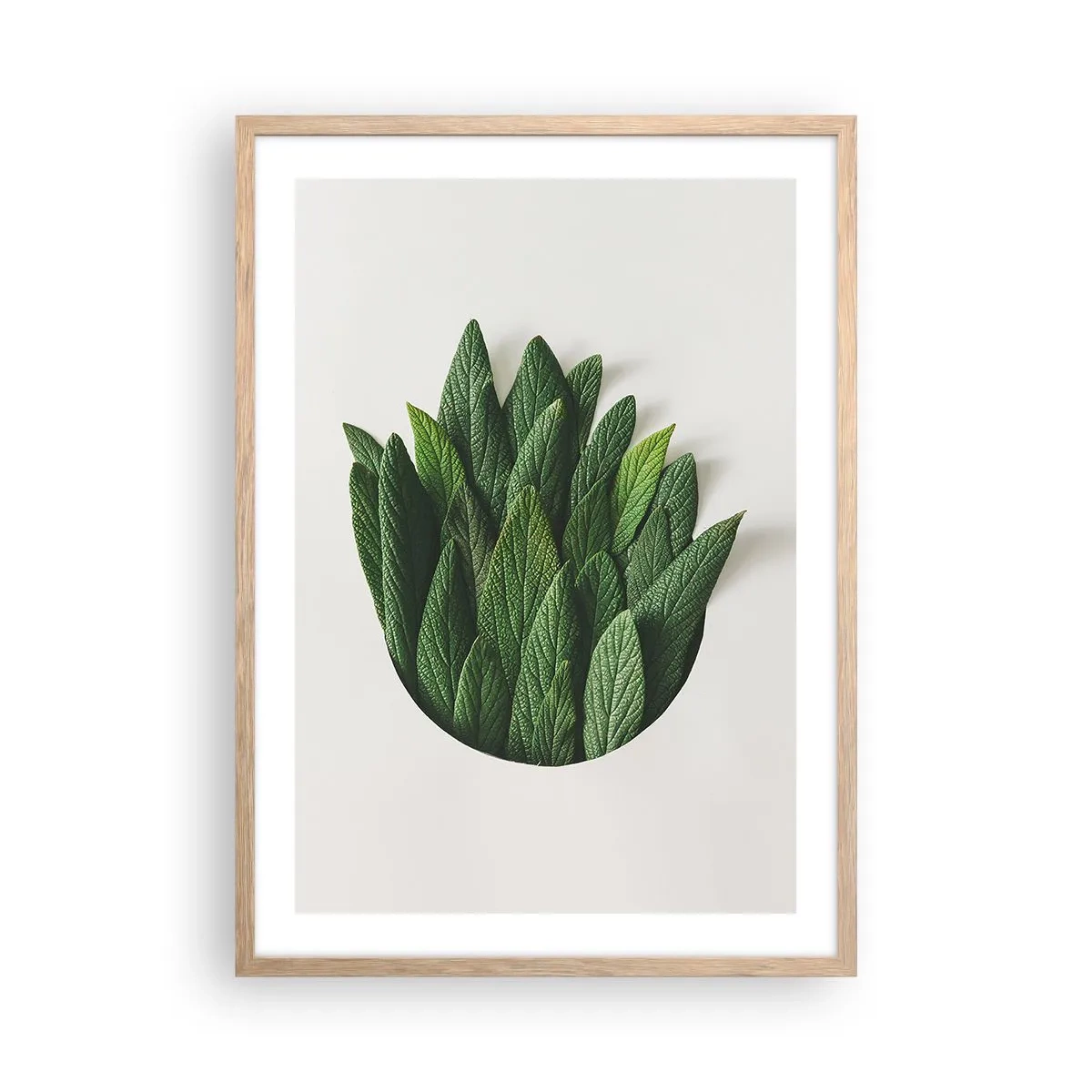 Poster în ramă de stejar deschis - Curiozitatea nestăvilită - 50x70 cm