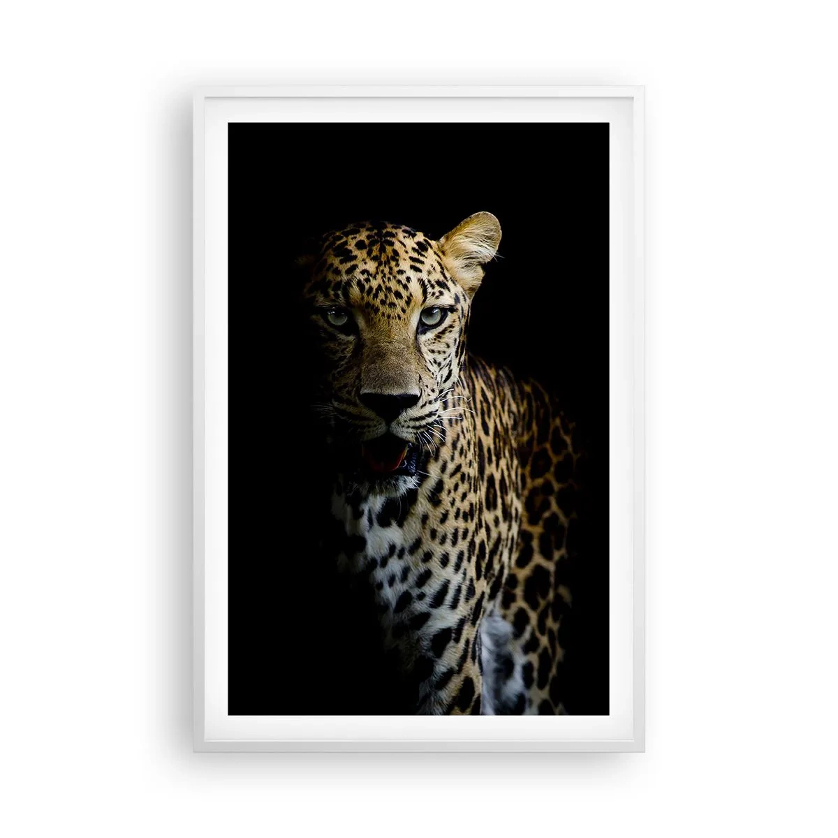 Poster în ramă albă - Frumusețe întunecată - 61x91 cm