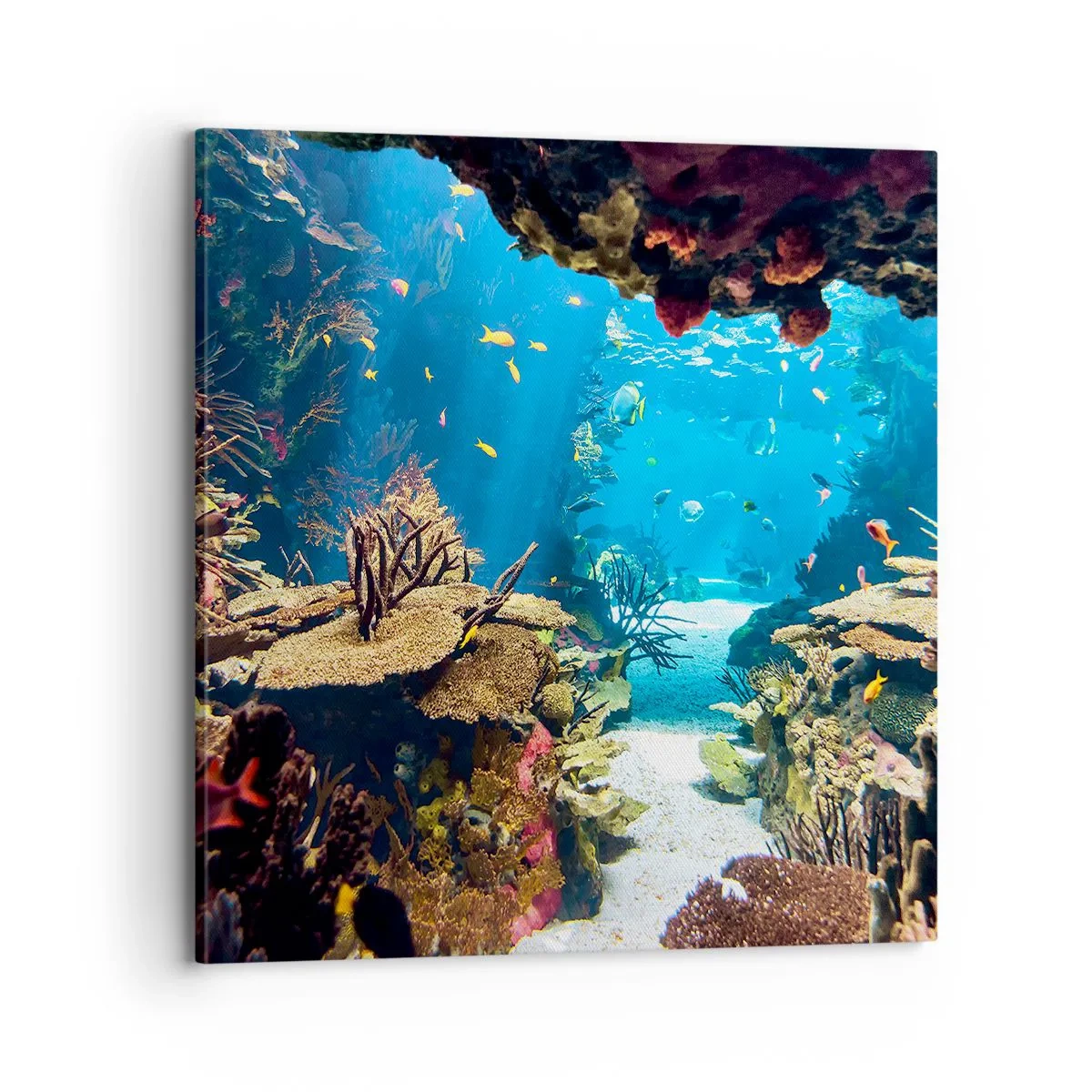 Tablou pe pânză - Nu ai visat la asta - 70x70 cm