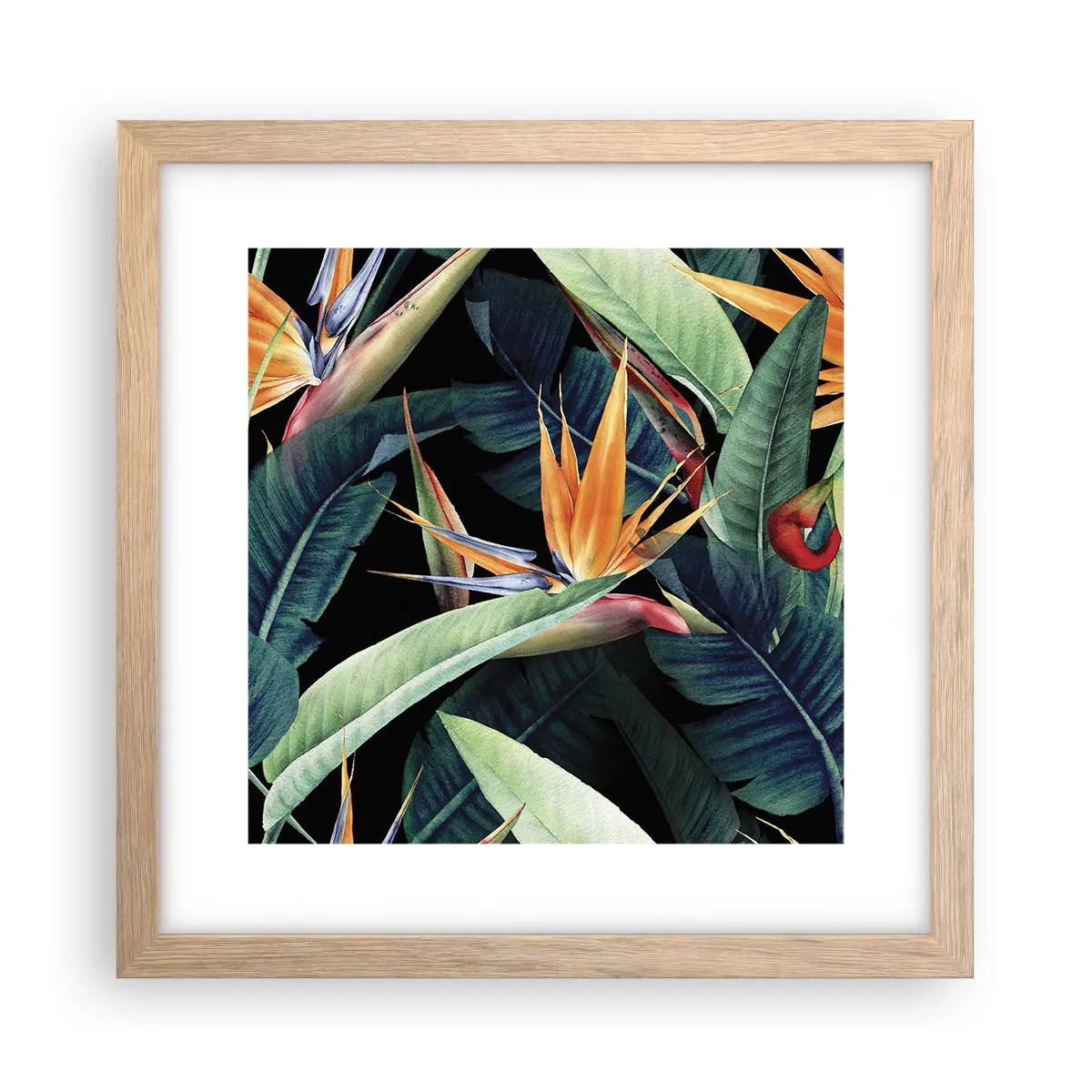 Poster în ramă de stejar deschis - Florile de flacără ale tropicelor - 30x30 cm