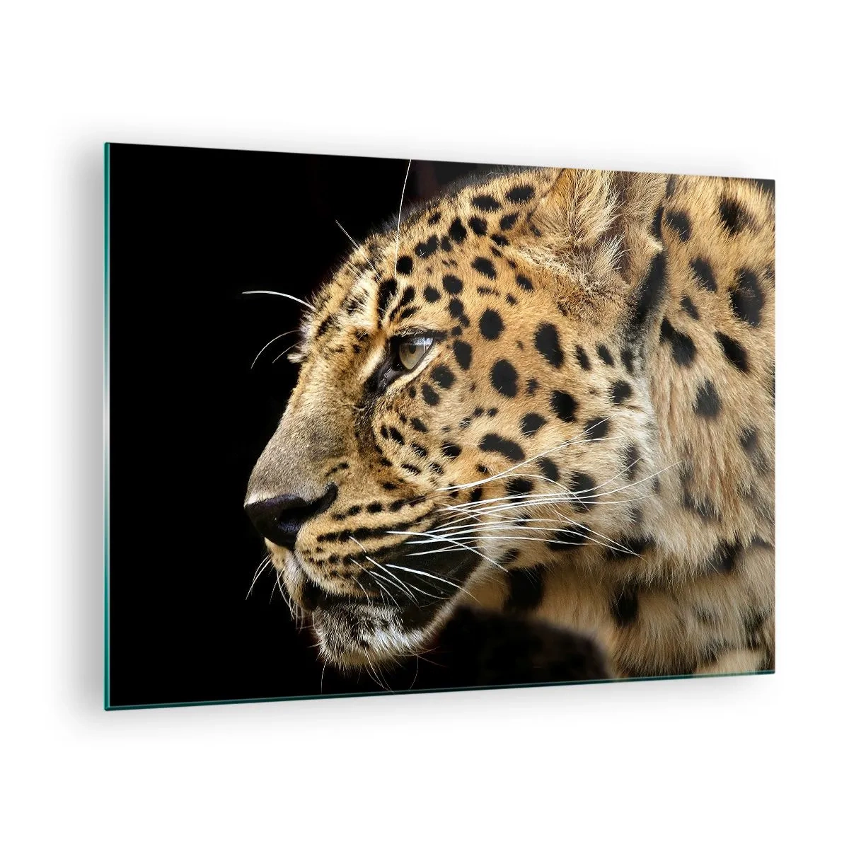 Tablou pe sticlă - Profilul unui leopard pe fundal negru - 70x50cm - Calm, concentrat, pregătit - Decorațiune modernă pentru perete pentru living și dormitor ARTTOR