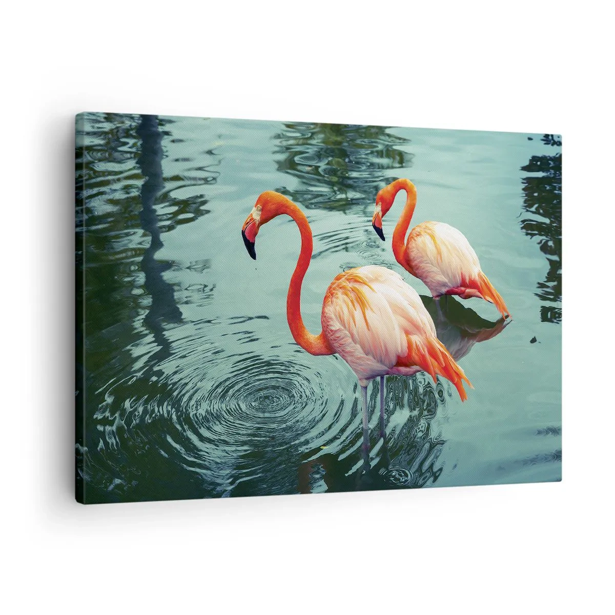 Tablou pe pânză Canvas - Doi flamingi în apa calmă reflectând împrejurimile lor - 70x50cm - Suntem bune de revistele de modă - Decorațiune modernă pentru perete pentru living și dormitor ARTTOR