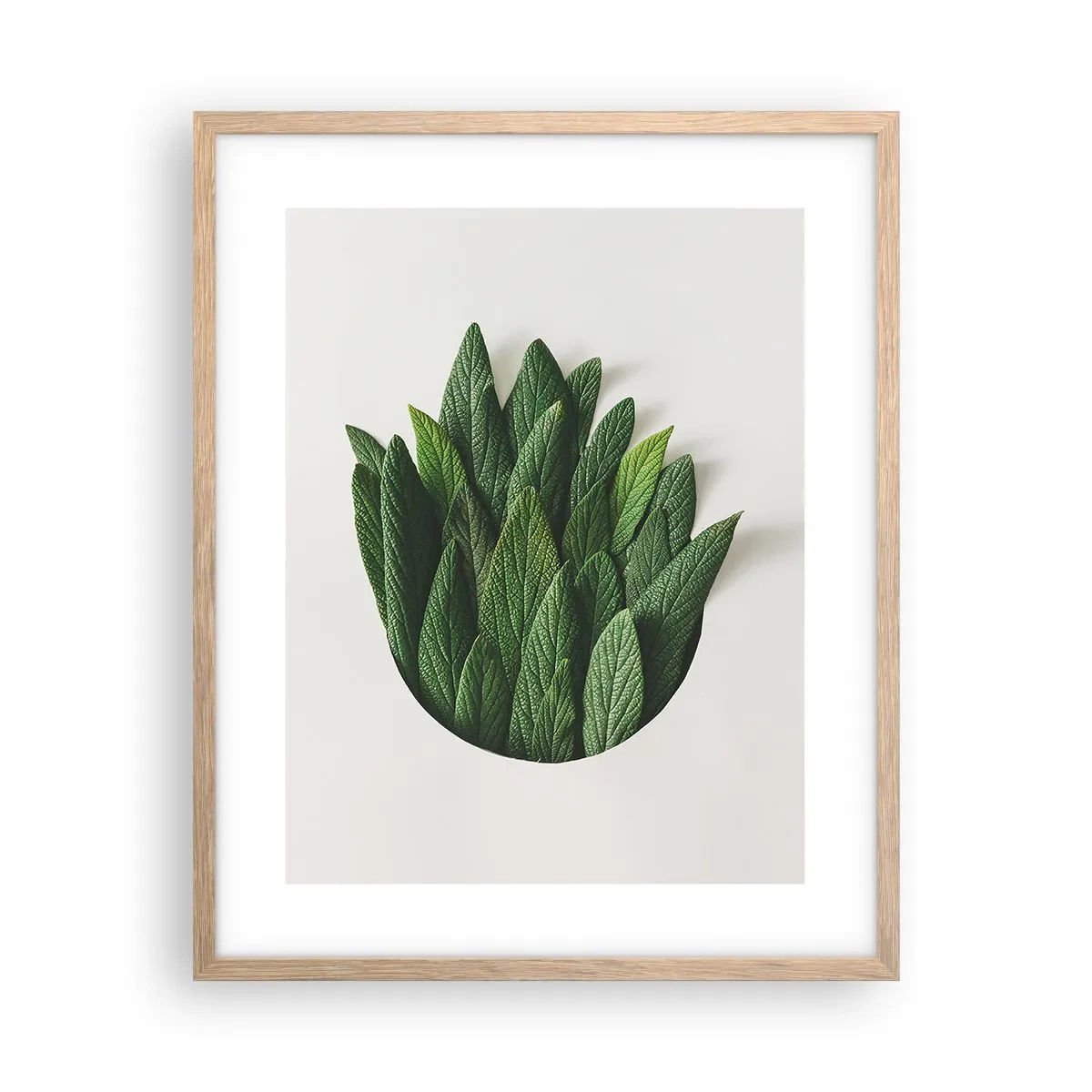 Poster în ramă de stejar deschis - Curiozitatea nestăvilită - 40x50 cm