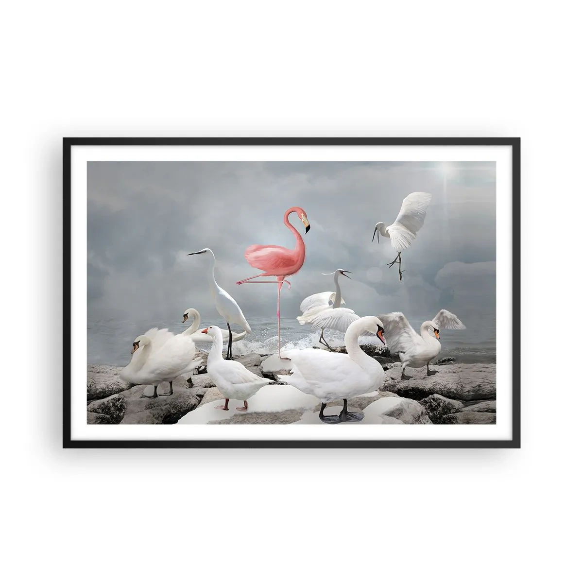 Poster în ramă neagră - De unde am venit? - 91x61 cm