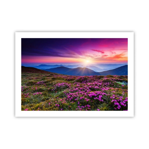 Poster - Ierburile proaspete miroseau puternic - 70x50 cm