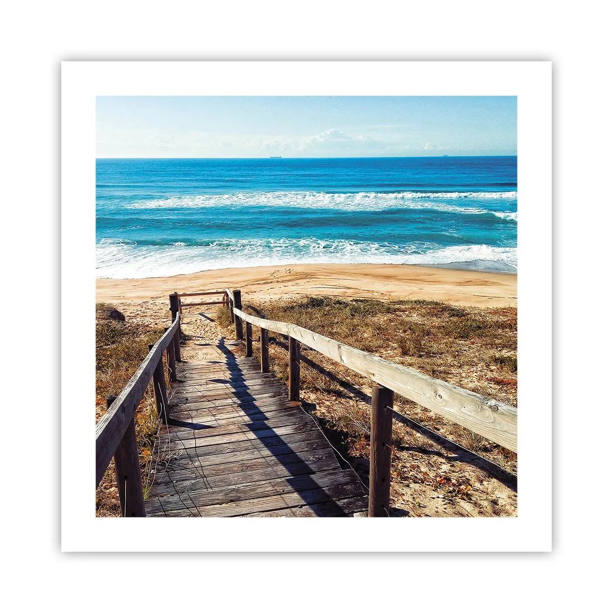 Poster - Aleargă! - 50x50 cm