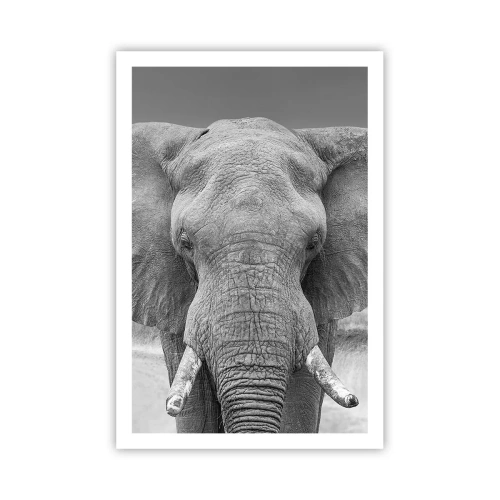 Poster - Bun venit în lumea mea - 61x91 cm