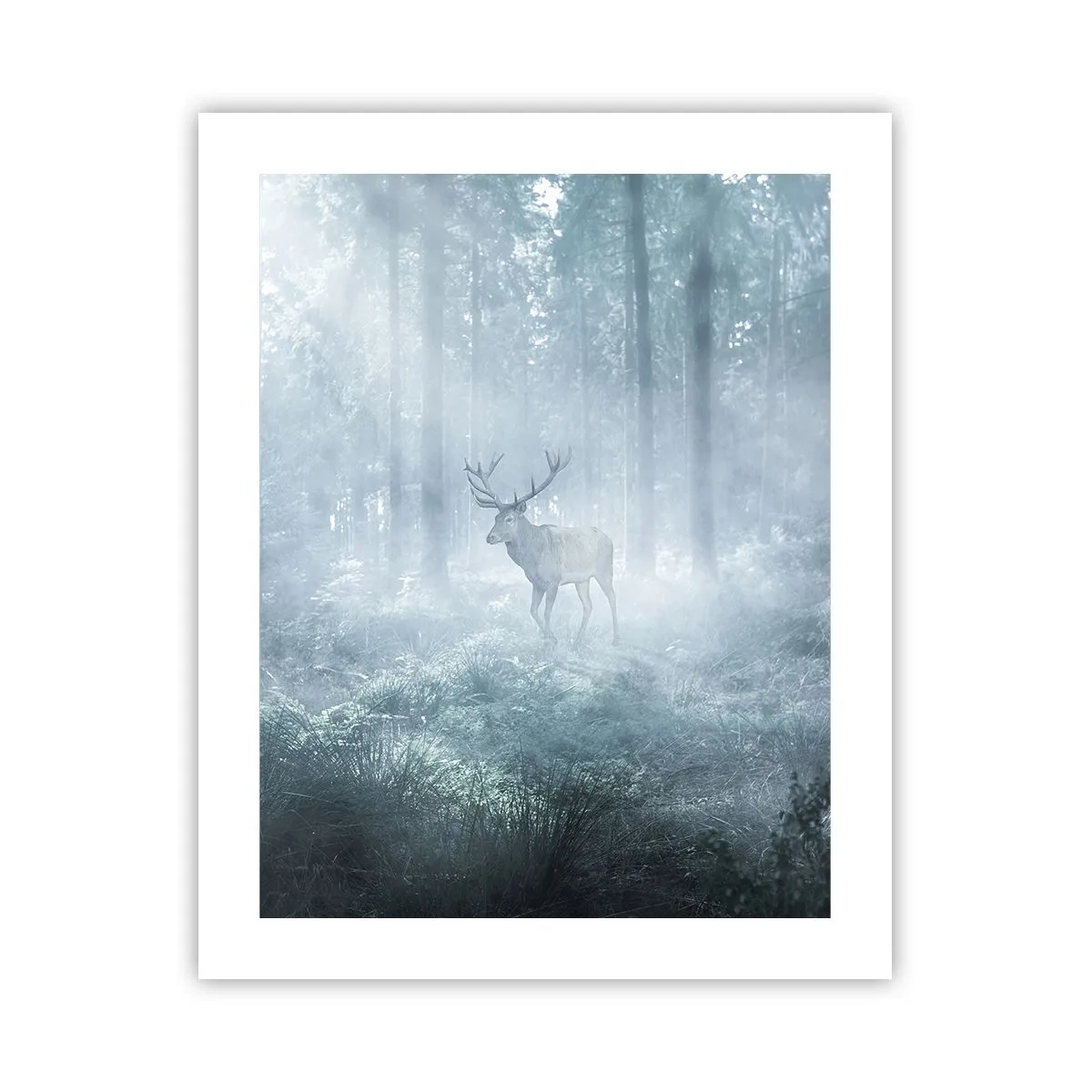 Poster - Plimbarea de dimineață prin regat - 40x50 cm