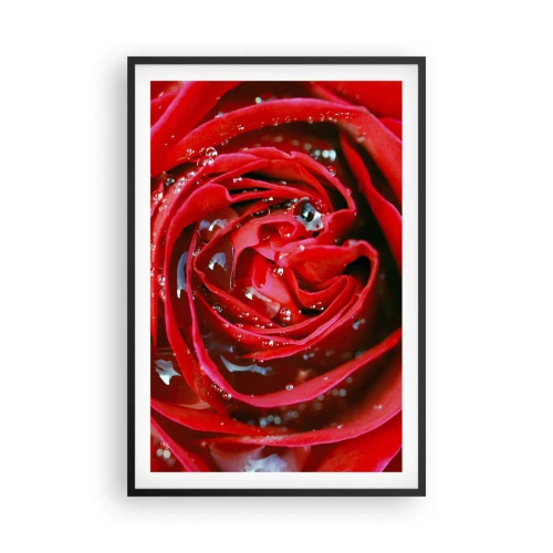 Poster în ramă neagră - În picături de rouă - 61x91 cm