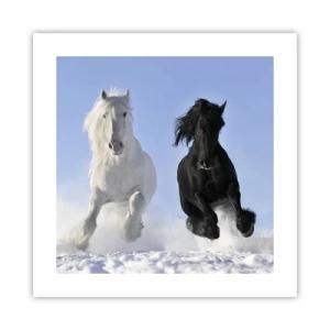 Poster - Galop de alb și negru - 40x40 cm