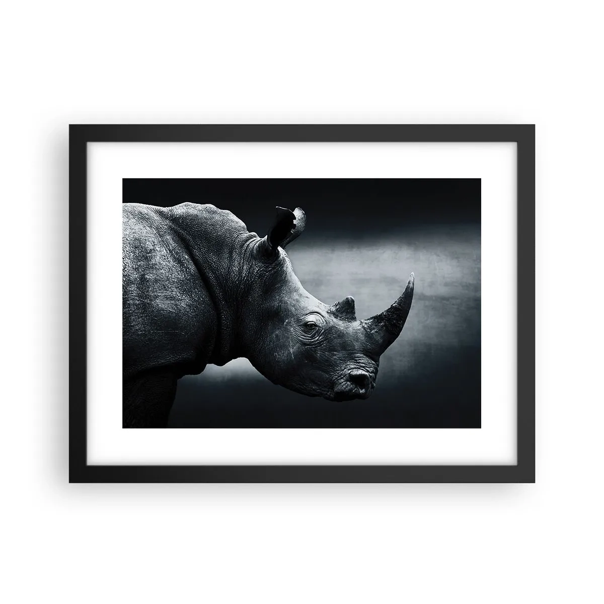 Poster în ramă neagră - Profil drept - 40x30 cm