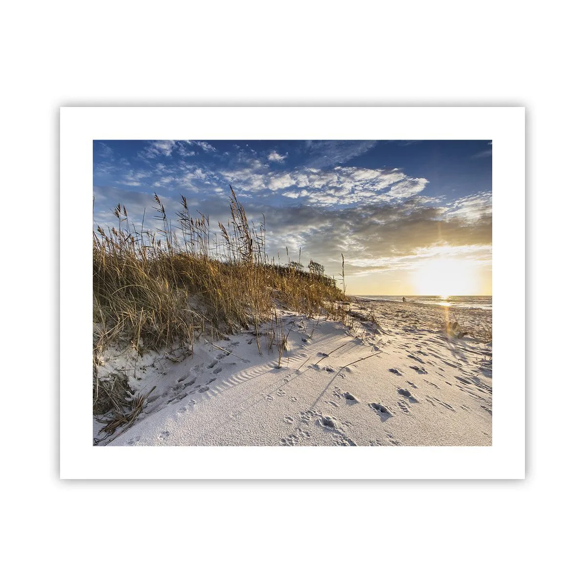 Poster - Invitație la o plimbare - 50x40 cm