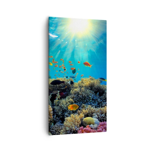 Tablou pe pânză - Comori subacvatice - 55x100 cm