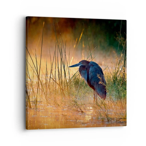 Tablou pe pânză - Lasă-mă în pace cu aceste fotografii - 30x30 cm
