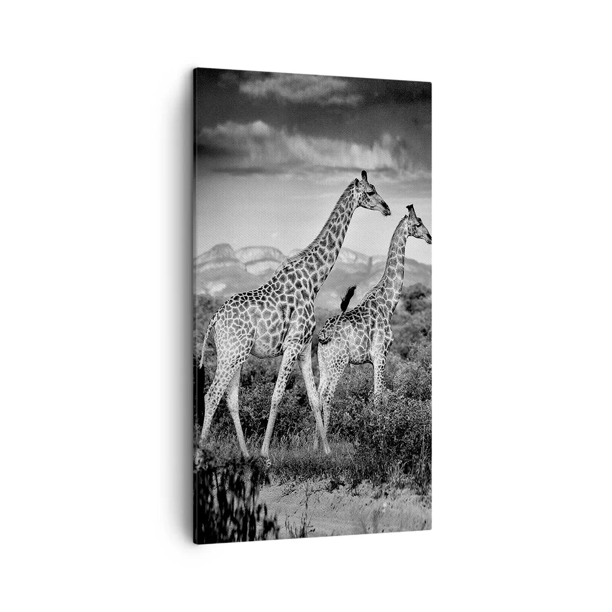 Tablou pe pânză - Clasele superioare din Africa - 45x80 cm