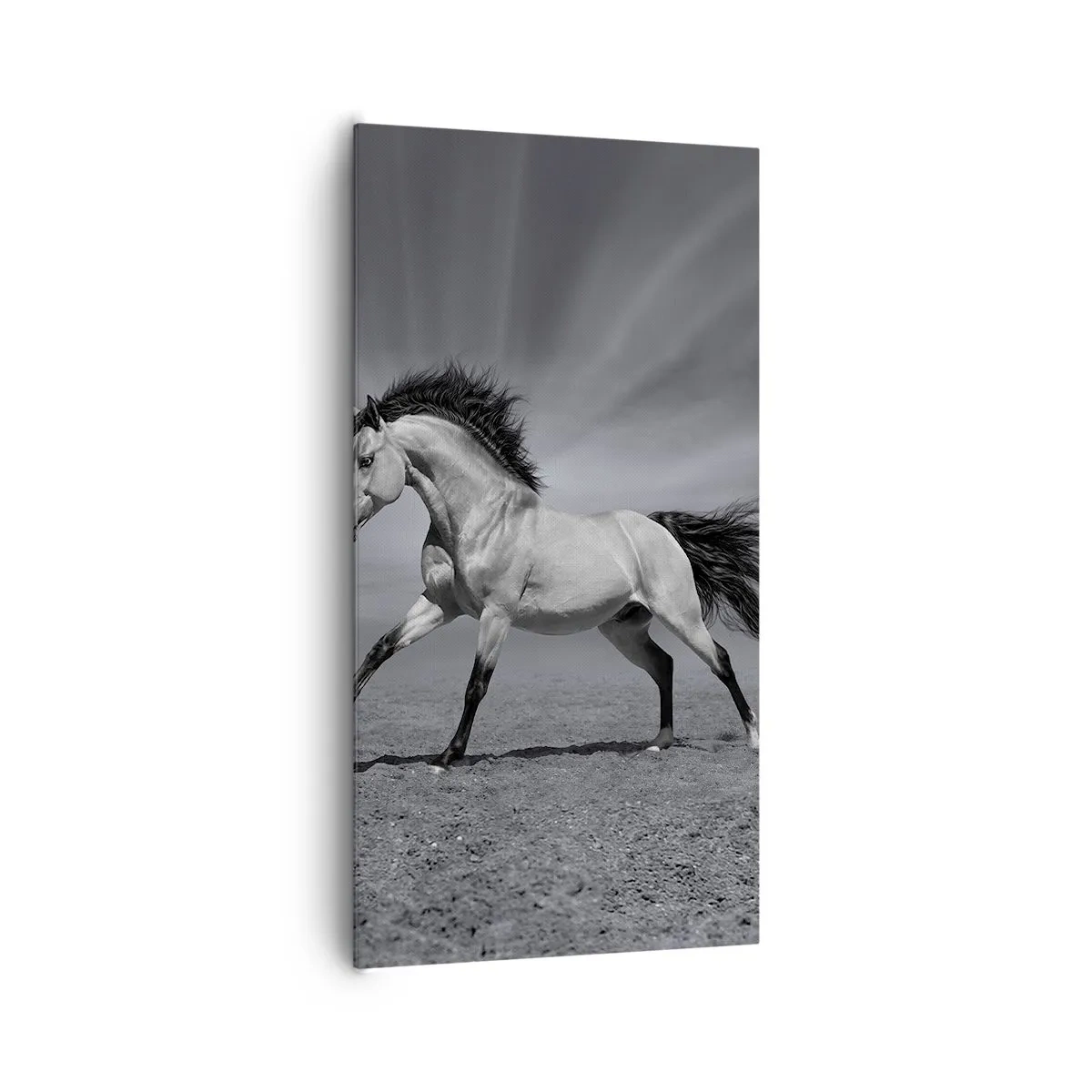 Tablou pe pânză - Născut pentru a încânta - 65x120 cm