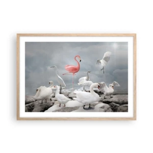 Poster în ramă de stejar deschis - De unde am venit? - 70x50 cm