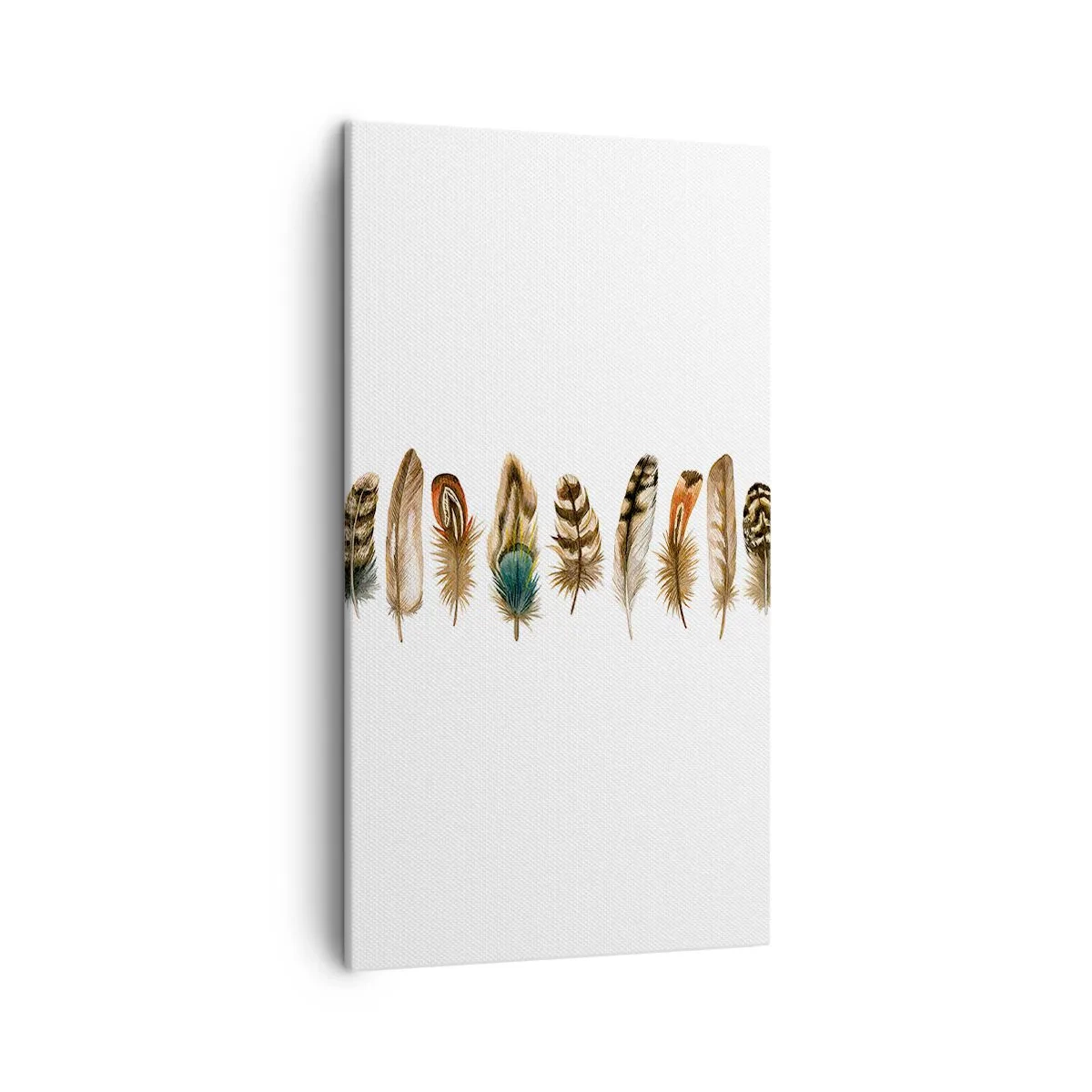 Tablou pe pânză - Variație cu pene - 45x80 cm