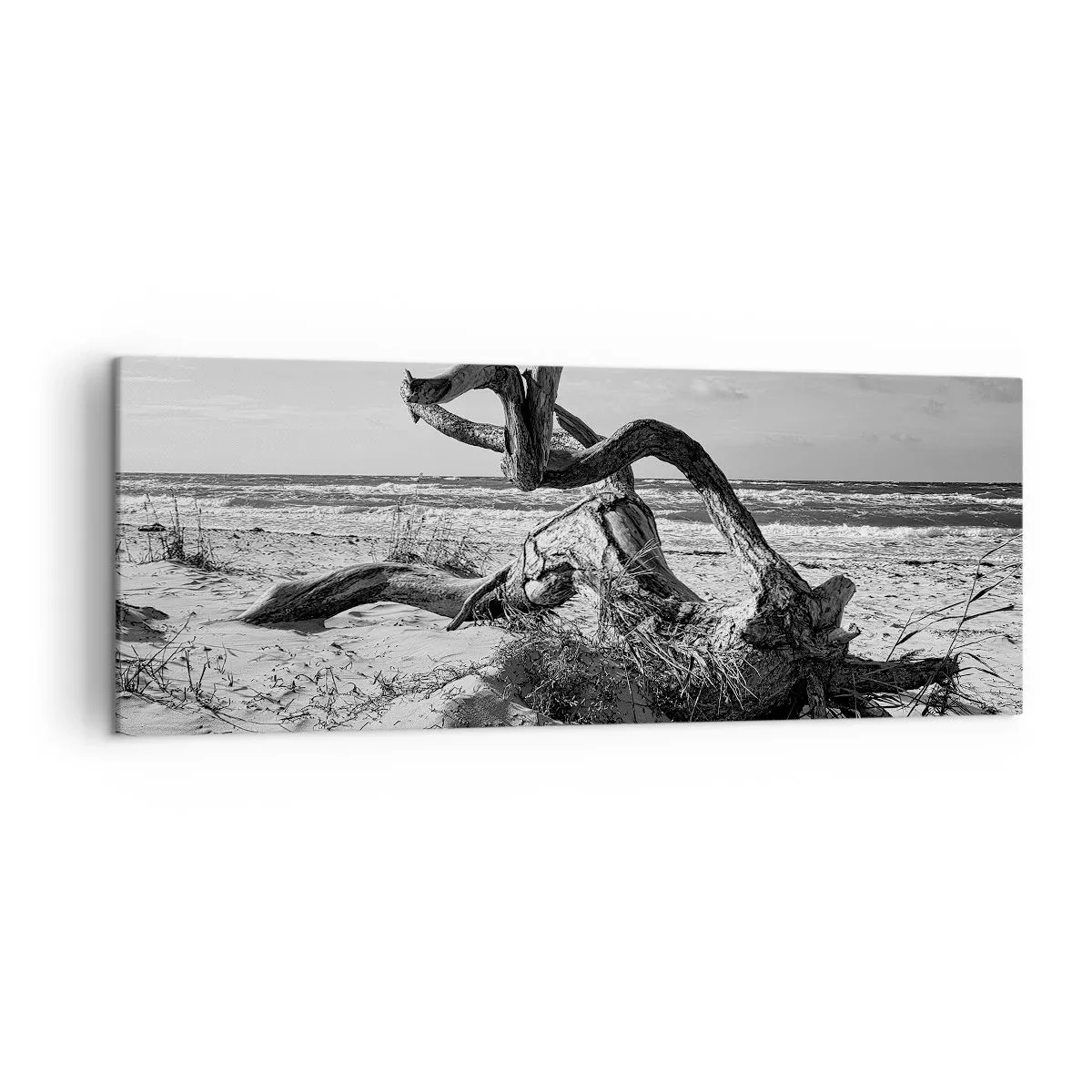 Tablou pe pânză - Sculptură marină - 140x50 cm