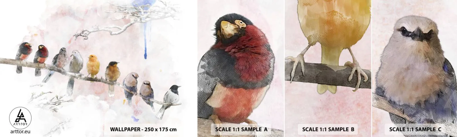 Mostră de Tapet Standard Eco - Întâlnire înaripată - Păsări, Natură, Grafică - 100x30 cm